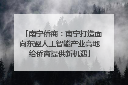 南宁侨商：南宁打造面向东盟人工智能产业高地给侨商提供新机遇