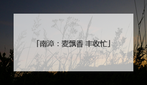南漳：麦飘香 丰收忙