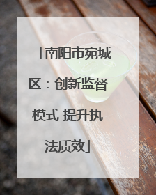 南阳市宛城区：创新监督模式 提升执法质效