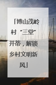 博山茂岭村“三堂”并蒂，解锁乡村文明新风