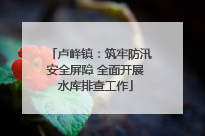 卢峰镇：筑牢防汛安全屏障 全面开展水库排查工作