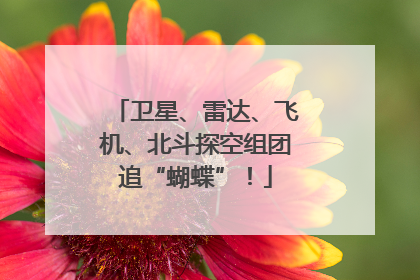 卫星、雷达、飞机、北斗探空组团追“蝴蝶”！