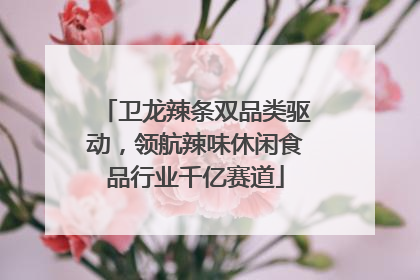 卫龙辣条双品类驱动，领航辣味休闲食品行业千亿赛道