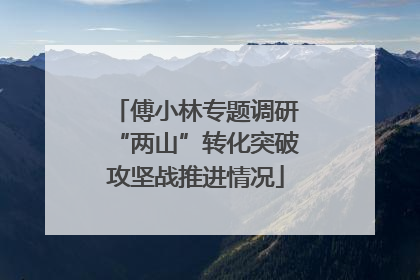 傅小林专题调研“两山”转化突破攻坚战推进情况