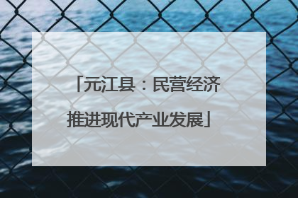 元江县：民营经济推进现代产业发展