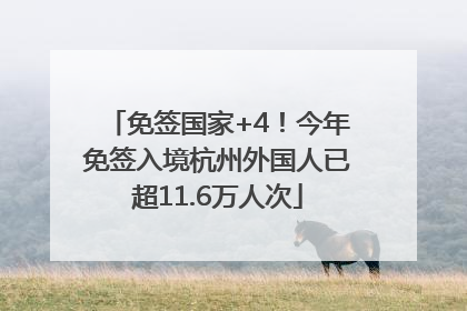 免签国家+4！今年免签入境杭州外国人已超11.6万人次