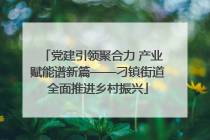 党建引领聚合力 产业赋能谱新篇——刁镇街道全面推进乡村振兴