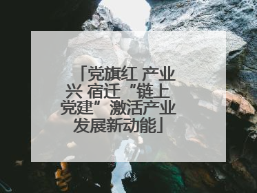 党旗红 产业兴 宿迁“链上党建”激活产业发展新动能