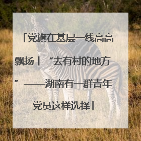 党旗在基层一线高高飘扬丨“去有村的地方”——湖南有一群青年党员这样选择