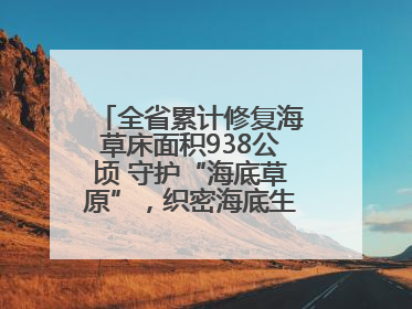 全省累计修复海草床面积938公顷 守护“海底草原”，织密海底生态“一张网”