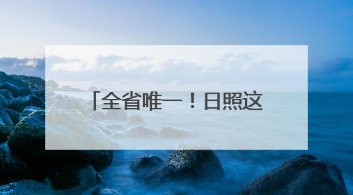 全省唯一！日照这一案例成功入选！