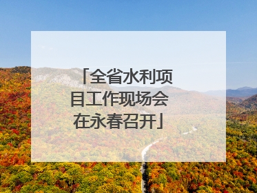 全省水利项目工作现场会在永春召开