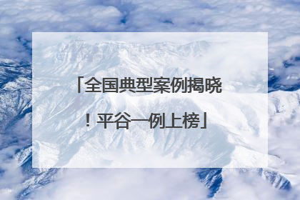 全国典型案例揭晓！平谷一例上榜