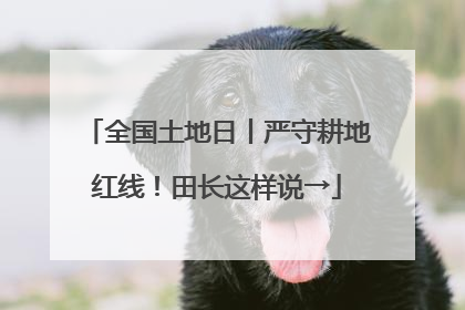 全国土地日丨严守耕地红线！田长这样说→