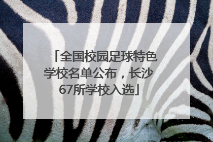 全国校园足球特色学校名单公布，长沙67所学校入选