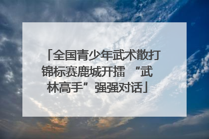 全国青少年武术散打锦标赛鹿城开擂 “武林高手”强强对话