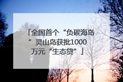 全国首个“负碳海岛”灵山岛获批1000万元“生态贷”