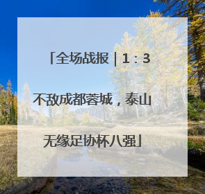 全场战报｜1：3不敌成都蓉城，泰山无缘足协杯八强