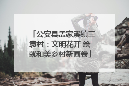 公安县孟家溪镇三袁村：文明花开 绘就和美乡村新画卷