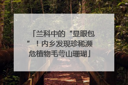 兰科中的“显眼包”！内乡发现珍稀濒危植物毛萼山珊瑚