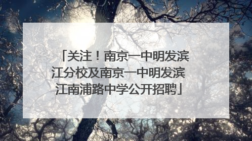 关注！南京一中明发滨江分校及南京一中明发滨江南浦路中学公开招聘