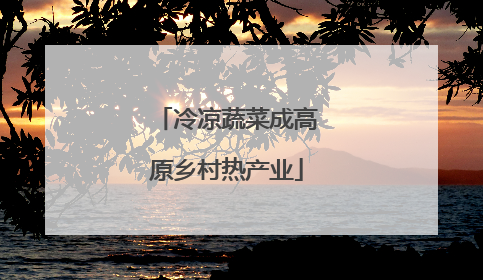 冷凉蔬菜成高原乡村热产业