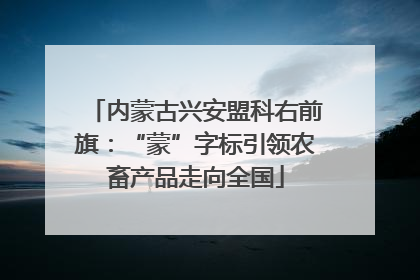 内蒙古兴安盟科右前旗：“蒙”字标引领农畜产品走向全国