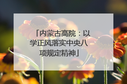 内蒙古高院：以学正风落实中央八项规定精神
