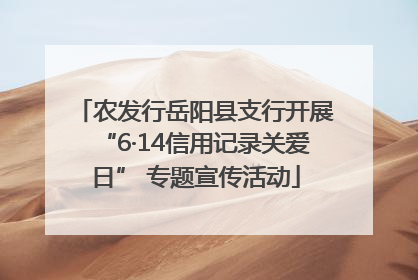 农发行岳阳县支行开展“6·14信用记录关爱日” 专题宣传活动
