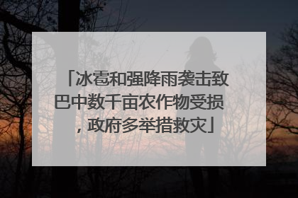 冰雹和强降雨袭击致巴中数千亩农作物受损，政府多举措救灾