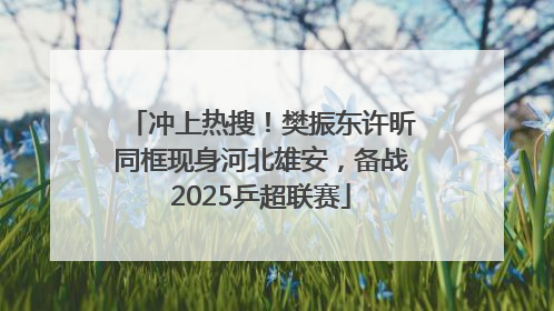 冲上热搜！樊振东许昕同框现身河北雄安，备战2025乒超联赛