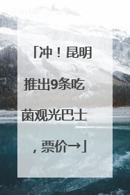 冲！昆明推出9条吃菌观光巴士，票价→