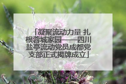 凝聚流动力量 扎根蓉城家园——四川盐亭流动党员成都党支部正式揭牌成立