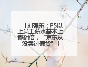 刘强东：P5以上员工薪水基本上都翻倍，“京东从没卖过假货”