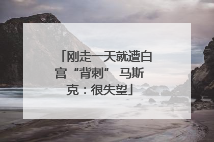 刚走一天就遭白宫“背刺” 马斯克：很失望