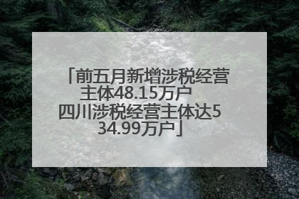 前五月新增涉税经营主体48.15万户 四川涉税经营主体达534.99万户
