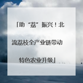 助“荔”振兴！北流荔枝全产业链带动特色农业升级
