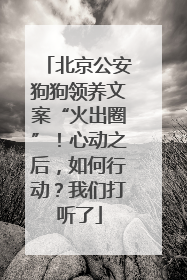 北京公安狗狗领养文案“火出圈”！心动之后，如何行动？我们打听了