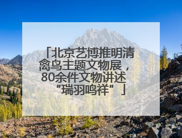 北京艺博推明清禽鸟主题文物展，80余件文物讲述“瑞羽鸣祥”
