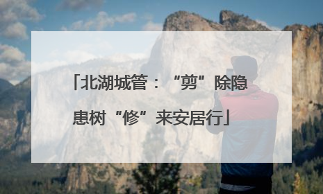 北湖城管：“剪”除隐患树“修”来安居行