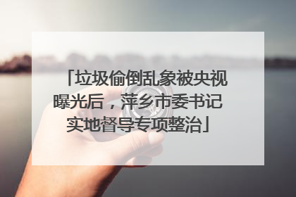 垃圾偷倒乱象被央视曝光后，萍乡市委书记实地督导专项整治