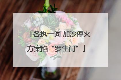各执一词 加沙停火方案陷“罗生门”