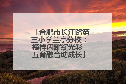 合肥市长江路第三小学兰亭分校：榜样闪耀绽光彩 五育融合助成长