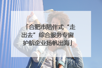 合肥市陪伴式“走出去”综合服务专窗护航企业扬帆出海