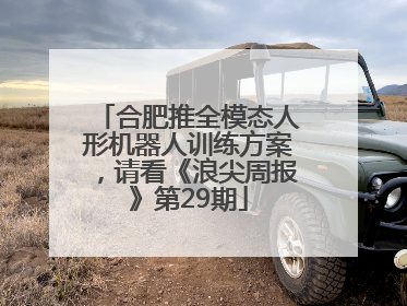 合肥推全模态人形机器人训练方案，请看《浪尖周报》第29期