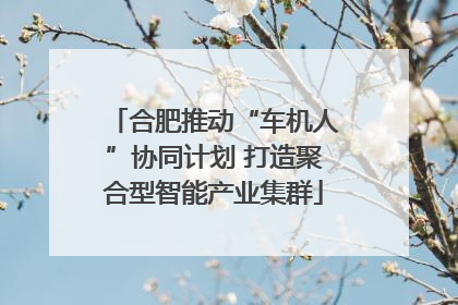 合肥推动“车机人”协同计划 打造聚合型智能产业集群