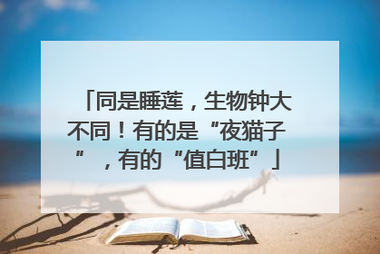 同是睡莲，生物钟大不同！有的是“夜猫子”，有的“值白班”