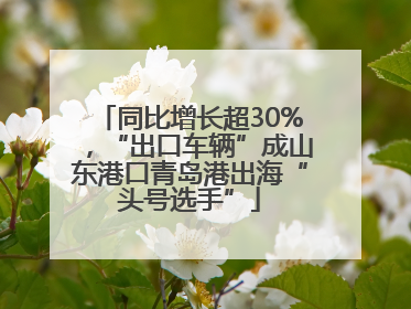 同比增长超30%，“出口车辆”成山东港口青岛港出海“头号选手”