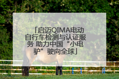 启迈QIMA电动自行车检测与认证服务 助力中国“小电驴”驶向全球
