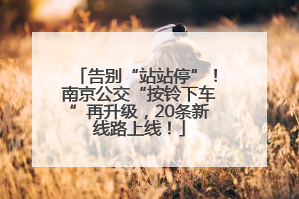 告别“站站停”！南京公交“按铃下车”再升级，20条新线路上线！